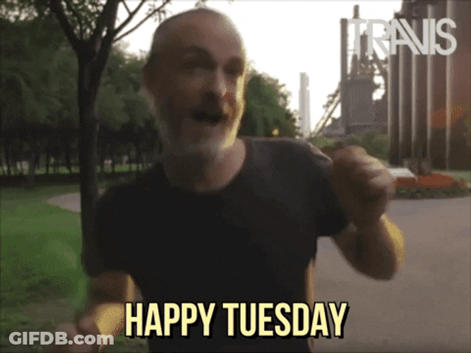 Wonderful Tuesday Travis Happy Dancing GIF