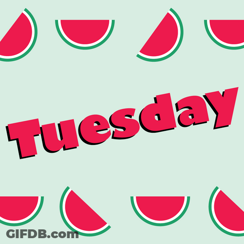 Wonderful Tuesday Watermelon Shaking Digital Arts GIF
