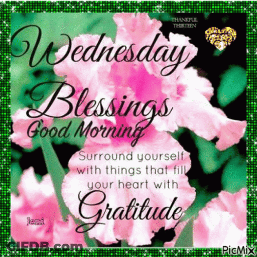 Wonderful Wednesday Blessings Gratitude GIF