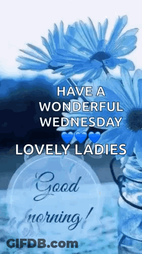 Wonderful Wednesday Lovely Ladies Good Morning GIF