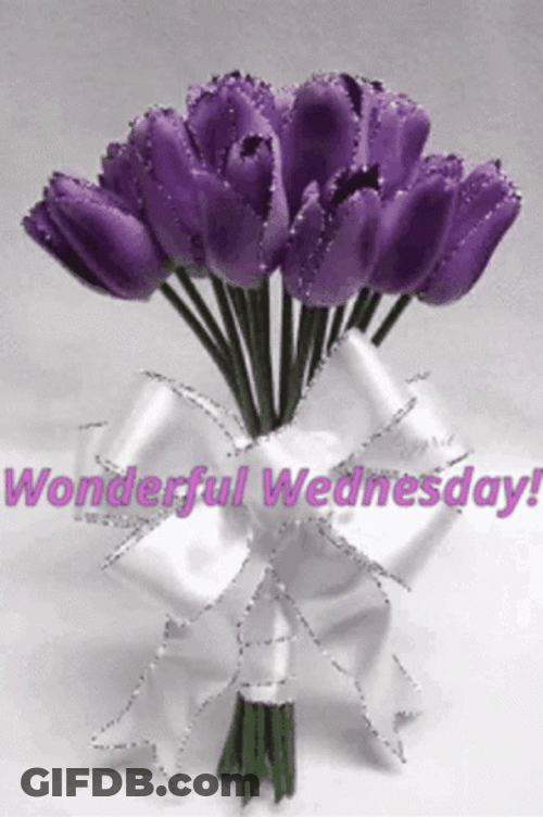 Wonderful Wednesday Purple Flowers GIF