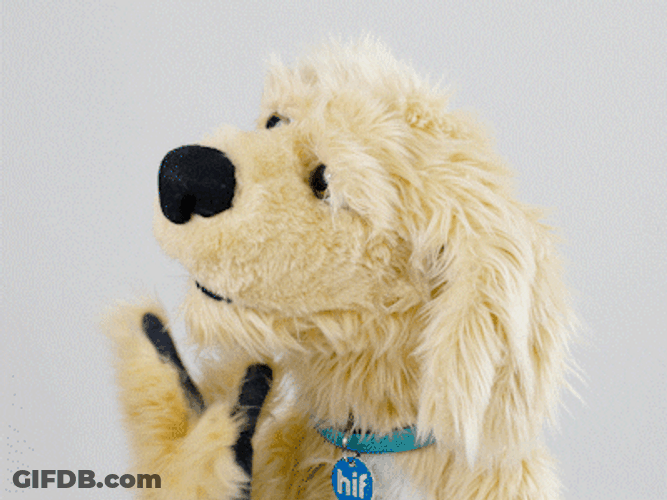 Wondering Dog Yes GIF