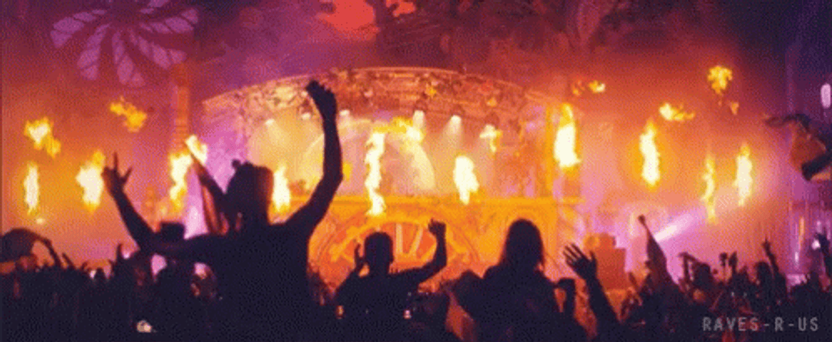 Wonderland Cool Fire Rave Party GIF