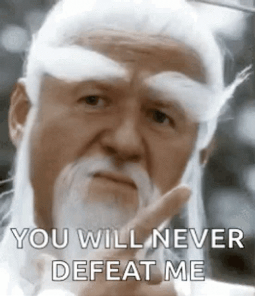 Wont Be Defeated Bak Mei Kung Fu GIF