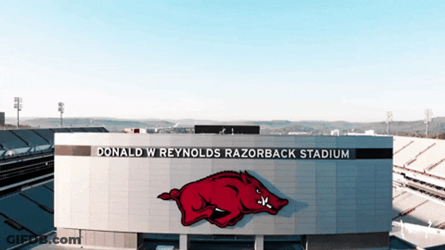 Woo Pig Arkansas Razorbacks Arena Aerial View GIF