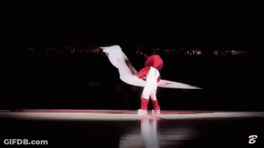 Woo Pig Arkansas Razorbacks Mascot Waving Flag GIF