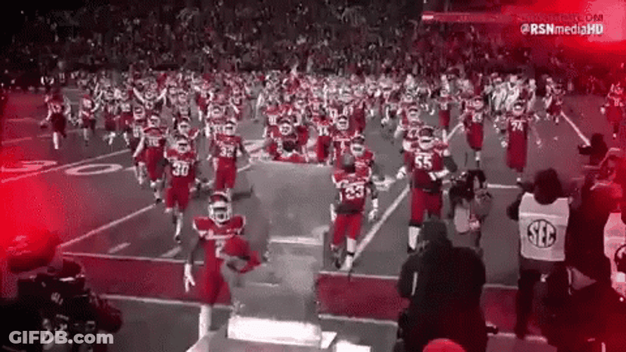 Woo Pig Arkansas Razorbacks Team Celebration GIF