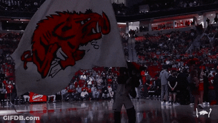Woo Pig Massive Arkansas Razorbacks Flag Waving GIF