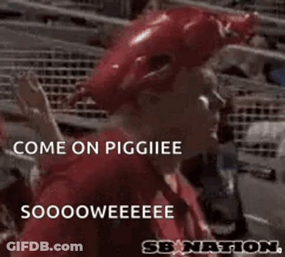 Woo Pig Sooie Avid Fan Cheering GIF