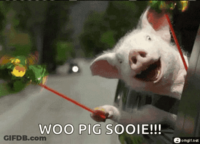 Woo Pig Sooie Ecstatic Swine Cheering GIF