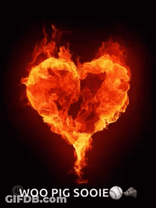 Woo Pig Sooie Fiery Heart Digital Art GIF