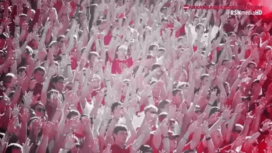 Woo Pig University Of Arkansas Flag Waving GIF