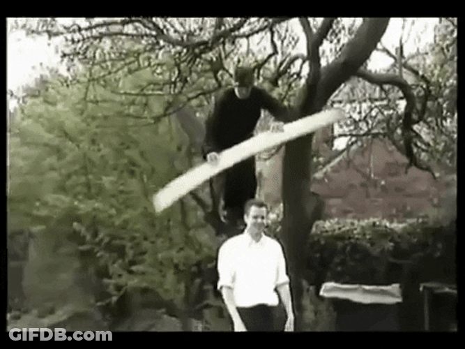 Wood Head Hit Stunt GIF