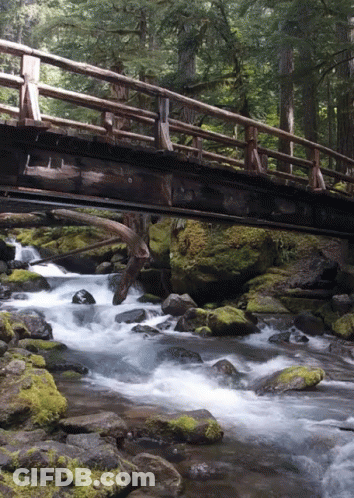 Wooden Bridge Over River With Mossy Rocks GIF