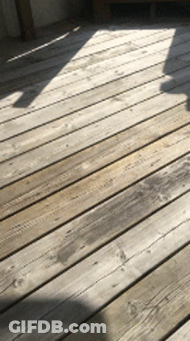 Wooden Deck With Chair Shadow GIF