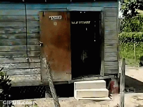Wooden Door With Sticker Saying A GIF