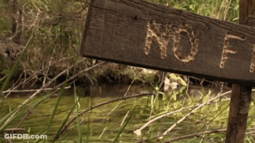Wooden Sign Saying No In Swamp GIF