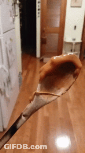 Wooden Spoon With Peanut Butter GIF