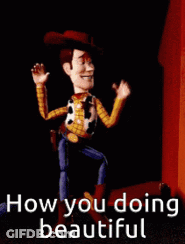 Woody From Toy Story How You Doing Beautiful GIF