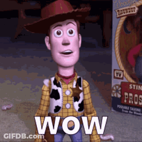 Woody From Toy Story In Cowboy Hat And Plaid Shirt GIF