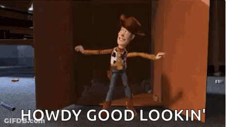 Woody From Toy Story Is Standing In A Cardboard Box . GIF