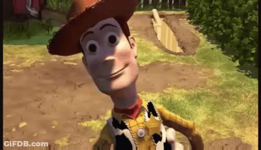 Woody Head Spinning GIF
