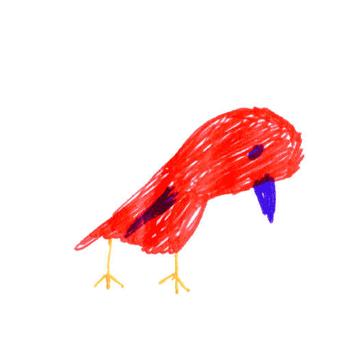 Woody Red Cardinal Woodpecker Laugh GIF