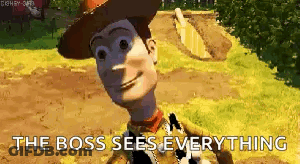 Woody Saying I Hear Everything GIF