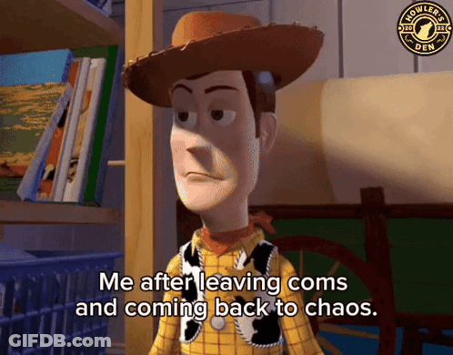 Woody Saying Me After Returning To Chaos GIF