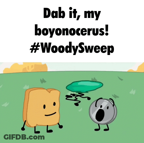 Woody Sweep And Boyonocerus Saying Dab It My Boyonocerus GIF