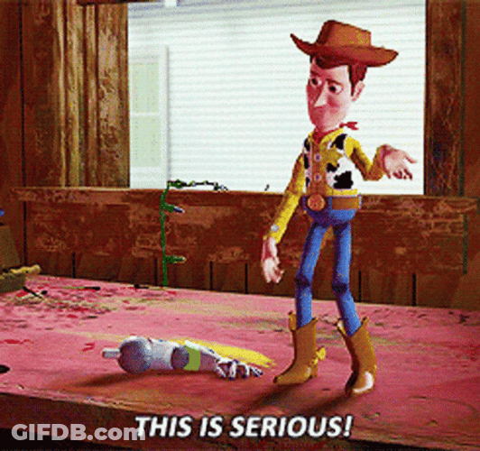 Woody This Is Serious GIF