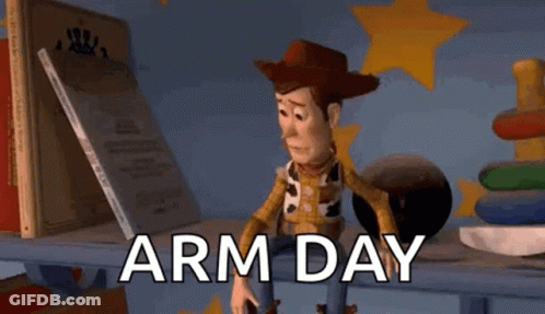 Woody Toy Story Arm Day GIF