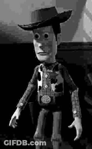 Woody Toy Story Cowboy Hat And Plaid Shirt GIF