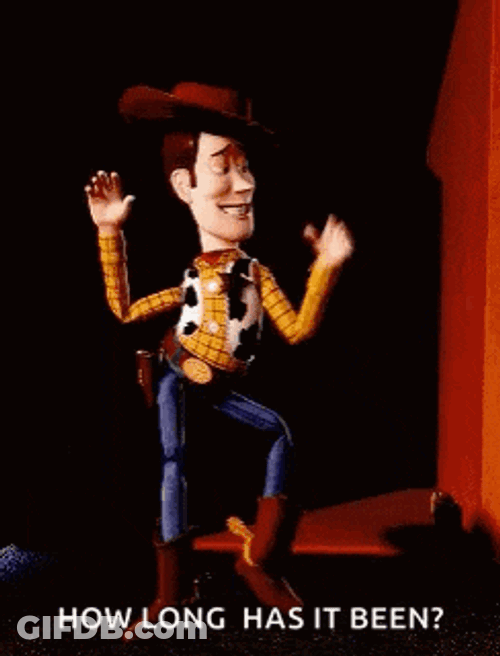 Woody Toystory GIF