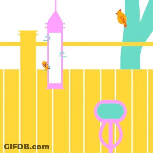Woody Woodpecker Laugh Bird Animation GIF