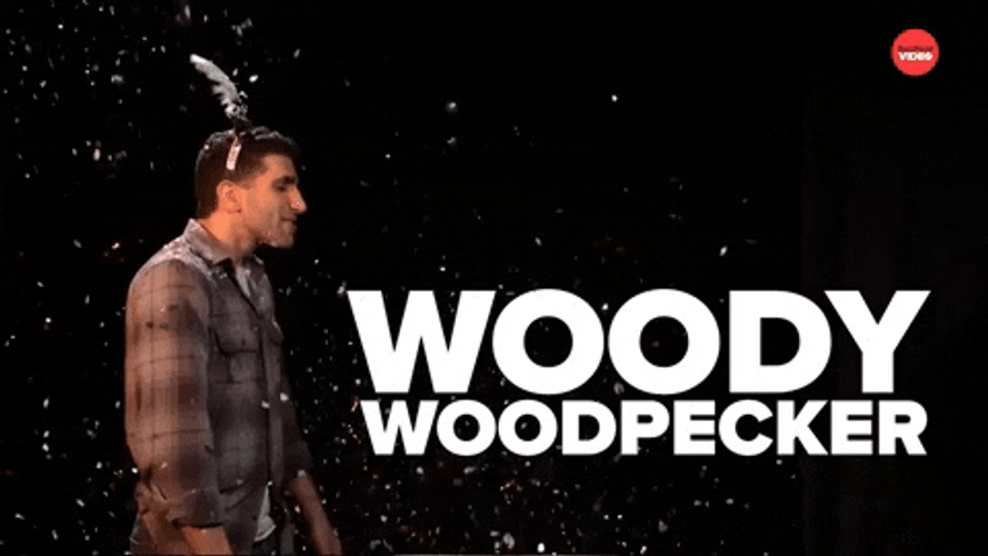 Woody Woodpecker Laugh Live GIF