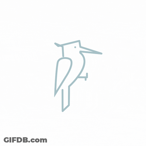 Woody Woodpecker Laugh Studio GIF