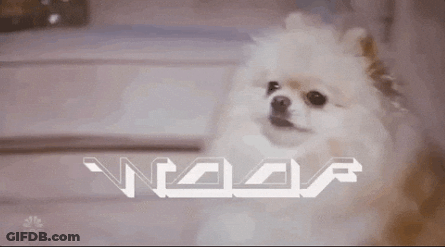 Woof Doggy Woof GIF