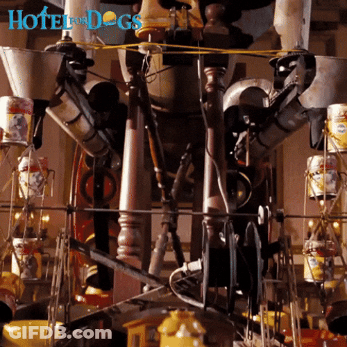 Woof Hotel Dogs GIF