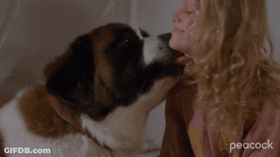 Woof Hugging A St Bernard Dog GIF