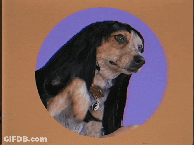 Woof Nice To Meet You GIF