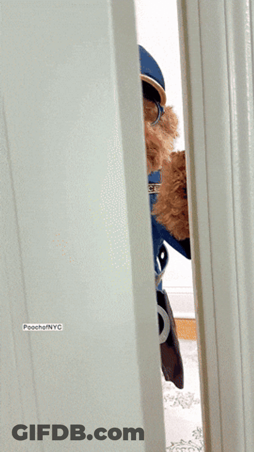 Woof Police Dog Arrest GIF