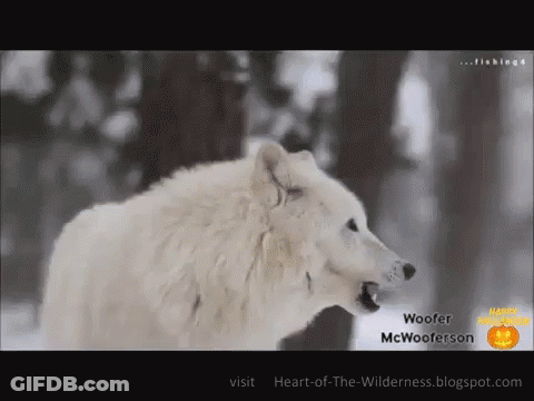 Woofer Mc Wooferson Happy Halloween GIF