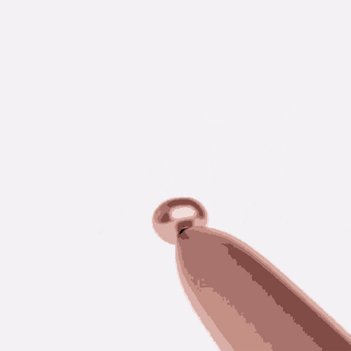 Woohoo Calligraphy Stylus GIF