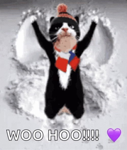 Woohoo Cat Snow GIF