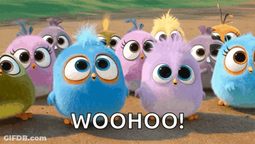 Woohoo Meme Angry Birds Cute GIF