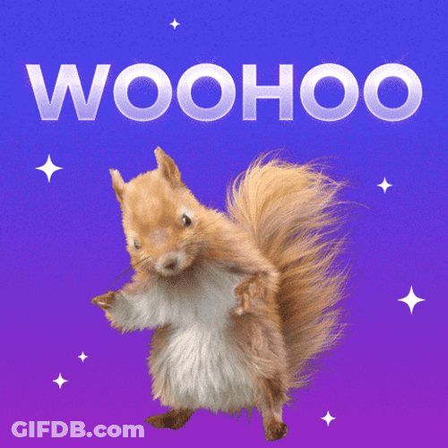 Woohoo Meme Cute Squirrel Dance GIF