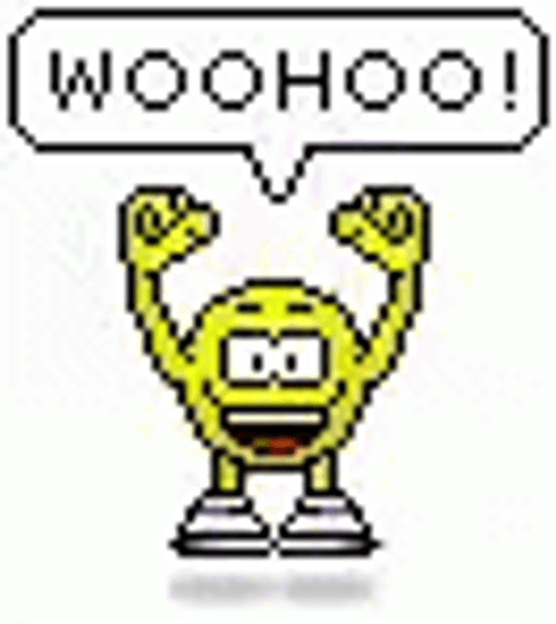 Woohoo Meme Pixelated Smiley Emoticon GIF