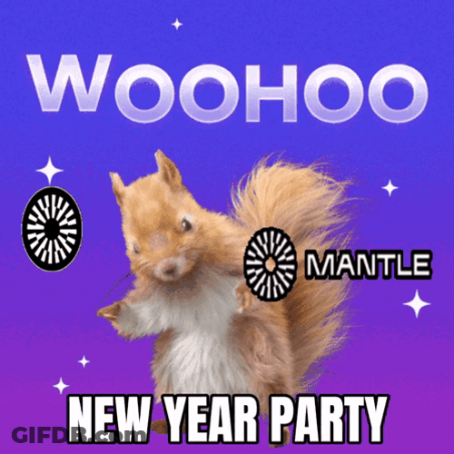 Woohoo Meme Squirrel New Year Party GIF