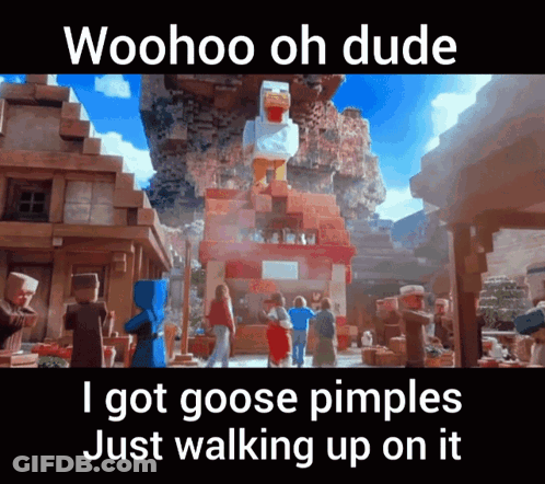Woohoo Oh Dude I Got Goose Pimples Just Walking Up On It GIF